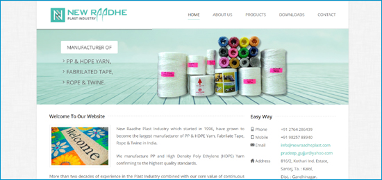 Website Degign Company