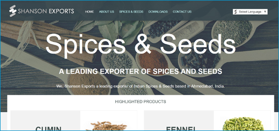 Website Degign Company