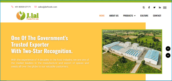 Website Degign Company