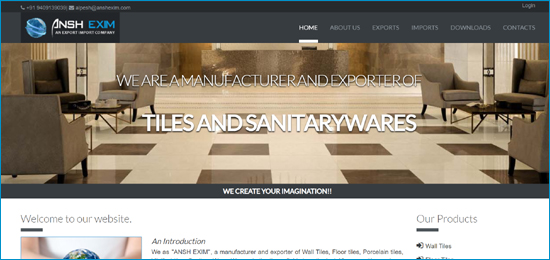Website Degign Company